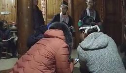 白毛第二