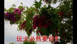 十劝人