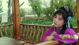 淮北花鼓戏自拍段子《姐妹情深》在线观看下载，感受传统戏曲姐妹深情