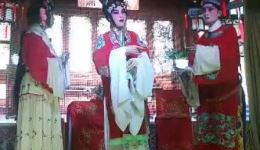 双玉蝉