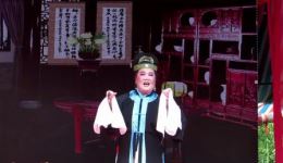 黄梅采茶戏《张宝童送茶大结局》高清完整资源下载，大结局剧情抢先看
