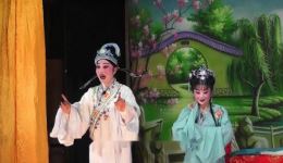 阳新采茶戏《泪洒相思地》（上）高清戏曲下载 - 经典悲情传统剧目资源