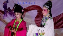 兄弟两状元