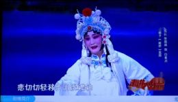 北路梆子《断桥》选段在线观看，张晶晶精彩演绎，经典戏曲资源下载