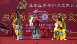 豫剧《打金枝》选场资源下载，刘忠河经典演绎，传统宫廷大戏不容错过下载