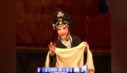 莆仙戏《琵琶诉》高清下载｜经典改编戏曲资源，领略传统戏剧魅力