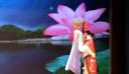 淮剧《追鱼》刘凯军吴爱萍主演，经典戏曲选段在线下载下载