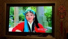 潮剧《风啊风》陈琼演唱 - 经典潮剧选段在线下载，纯正潮腔演绎