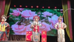 上党落子经典《杨文广招亲》在线观看下载，杨家将故事戏曲资源全收录