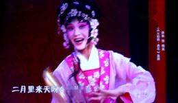 火焰驹 表花