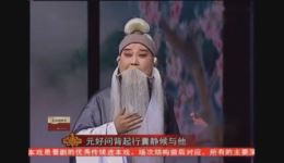 北路梆子《野史亭》选段董志伟精彩演绎，领略名家风范与经典唱腔