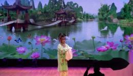 淮剧《孔雀东南飞》选段倪红娣彩唱 凄美爱情戏曲在线下载下载