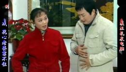 庐剧现代戏《花心老婆靠不住》宽屏版选段高清下载 陈应兰张承芳等主演下载