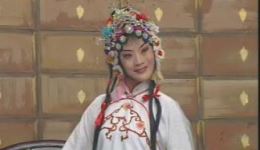 三戏白牡丹