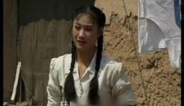 飘来的媳妇