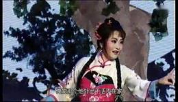 拾棉花