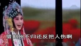 诸葛亮吊孝
