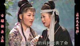 庐剧《马古骡换妻》宽屏版 上集 - 盛小五领衔主演，精彩演绎民间传奇下载