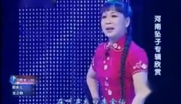 胡中花演唱河南坠子《罗成算卦》经典曲目，曲调优美歌词生动，免费资源畅享！下载