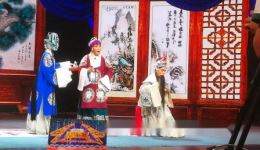 河北梆子《岳母刺字》刘朝云张颖超韩博慧经典唱段在线观看下载下载