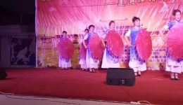 东路花鼓戏《咏梅》先锋艺术团精彩演绎，传统与现代交融的戏曲盛宴下载
