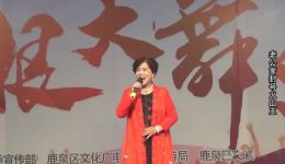 威震天下杨家将