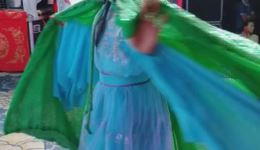 宁都采茶戏《白蛇传》客家剧团经典演绎,免费戏曲资源在线下载 宁都采茶戏《白蛇传》客家剧团经典演绎,免费戏曲资源在线下载