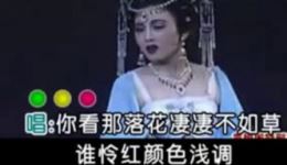 黄梅戏《贵妃醉酒》高清资源下载，经典戏曲全场畅享
