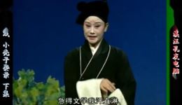 西路庐剧《小秃子娶亲》宽屏版下集下载，胡俊等主演，民间烟火大戏全收录下载