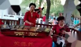 毕雪玲毕雪玉琴书《猪八戒背猴子》高清下载｜经典西游题材琴书资源下载