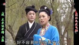 新发庐剧《丈夫让不得》宽屏版上集魏小波王小兰领衔，现代庐剧家庭情感大戏在线下载下载