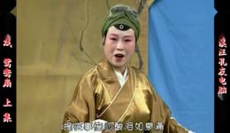 西路庐剧《鸳鸯》宽屏版上集下载 - 李立存王玉兰沈红萍主演下载