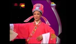 吴琼领衔黄梅戏《梁祝》在线观看，经典凄美爱情故事全场高清呈现下载