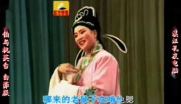庐剧《L山伯与祝英台》宽屏白茆版周小五、张承芳、夏小二主演经典爱情悲剧下载下载