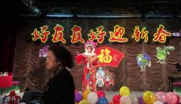 双阳公主追夫