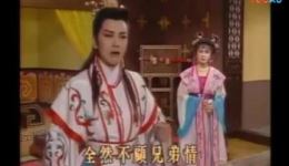 新求婚