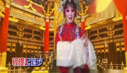 淮剧《打金枝》选段下载 - 裔小琴经典演绎，高清戏曲资源免费获取