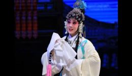 江阴小锡班锡剧《玉蜻蜓》精彩演出，经典戏曲在线下载资源
