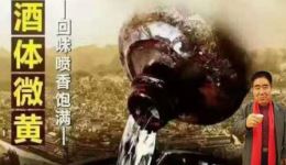 京东大鼓《龙啖结交天下缘》高清正版下载 - 经典曲艺资源在线获取 京东大鼓《龙啖结交天下缘》高清正版下载 - 经典曲艺资源在线获取