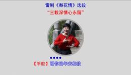 梨花情