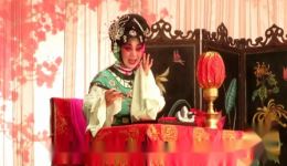 楚剧《珍珠塔》彭青莲主演,经典戏曲字幕版在线下载,领略传统艺术魅力 楚剧《珍珠塔》彭青莲主演,经典戏曲字幕版在线下载,领略传统艺术魅力