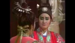 杨丽花歌仔戏《美貌贤淑又善良》在线观看与下载 - 经典戏曲资源下载