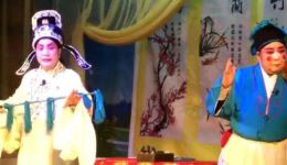 鹤壁浚县乐腔《闹书馆》在线观看与下载 - 经典地方戏曲资源