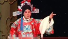 二夹弦经典《花庭会》全剧资源下载,田爱云周凤兰演绎,传统地方戏曲精品 二夹弦经典《花庭会》全剧资源下载,田爱云周凤兰演绎,传统地方戏曲精品