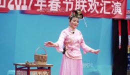弼佑布依戏《金猫宝瓢》带字幕下载 - 经典下载 弼佑布依戏《金猫宝瓢》带字幕下载 - 经典下载