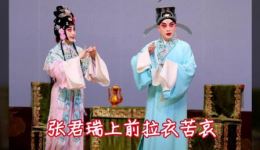 红娘下书