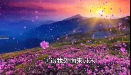 免费祁剧《凤鸾寻夫》高清下载,经典祁剧全场资源在线获取 免费祁剧《凤鸾寻夫》高清下载,经典祁剧全场资源在线获取