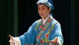 采茶戏《落店换妻》全场高清在线观看 - 经下载