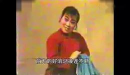 李二嫂改嫁