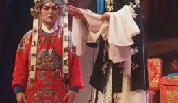 荆州花鼓戏《秦香莲后传》选段在线观看，张凤云等名家演绎经典戏曲下载